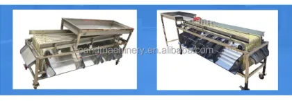 Strawberry Fruit Sorting Machine
