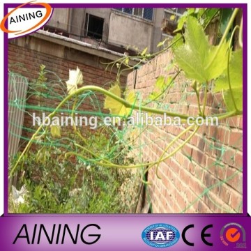 Weight: 8~10g per square meter Plant Support Netting with Plastic Green Climbing