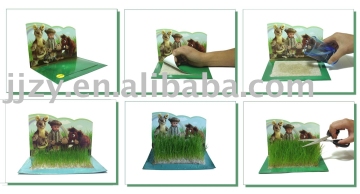 [Super Deal] Christmas gift ,christmas toy ,Grass Growing Card