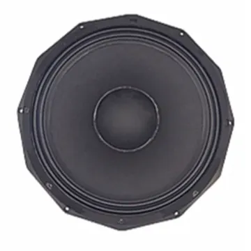 18-inch high-power woofer suitable for outdoor entertainment