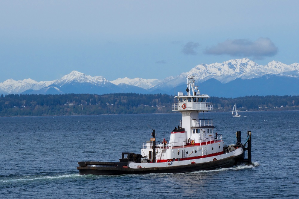 Professional Repalce and Installation Equipment to Tugboat