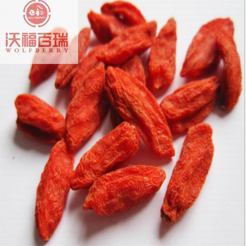 Goji-Beere / Bio-Goji-Beeren / Getrocknete Goji-Beeren