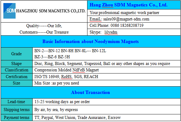 Bonded NdFeB Magnet