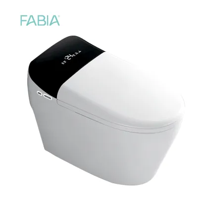 High Tech Automatic Smart Toilet Bowl