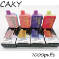 Elfworld Caky 7000 Grosir Tradig