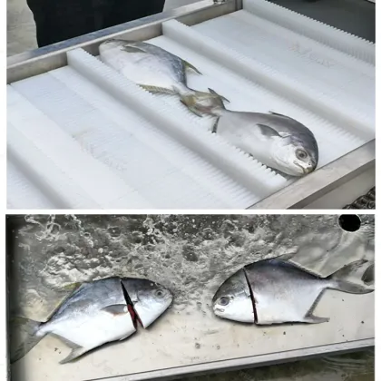 Commercial Fish Cutting Machine: Tuna, Pomfret, Crucian Carp, Tilapia, and Hairtail Section Cutter