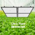 Luz de cultivo LED mejorada de 660nm para floración