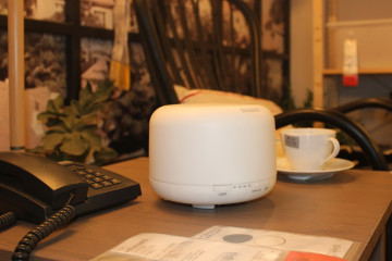 2014 new design for European market large volume best seller amora diffuser