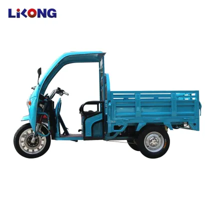 EEC Certified Safety Electric Truck for Family Use