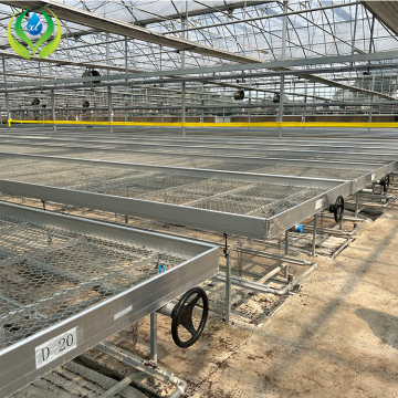 Rolling Benches Hot Water Heating System for Greenhouse Seed Beds with Welded Wire