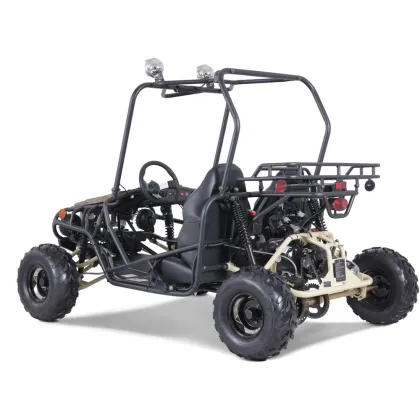 Tao Motor 125cc Chain Drive Adult Off-Road Buggy