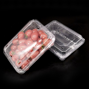 Customized PET Disposable Seal Plastic Box Blister Packaging for Fruits