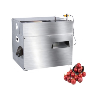 Máquina de picaduras de frutas de 220V: eliminando eficientemente las semillas del espino fresco y las fechas