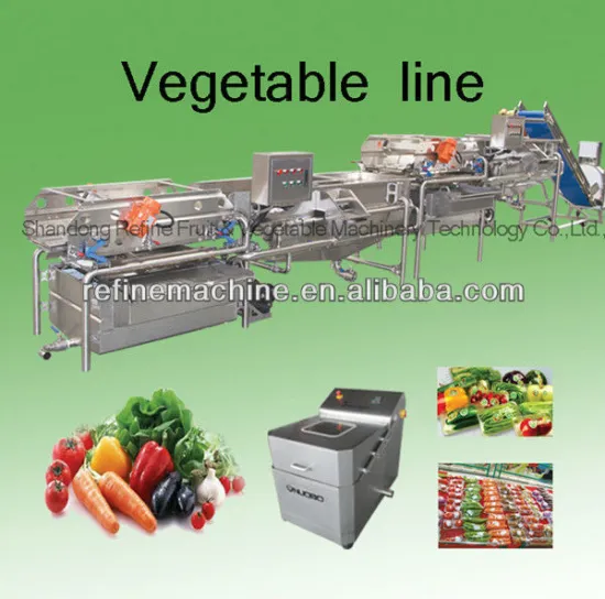 Automatic vegetable processing line/salad/IQF