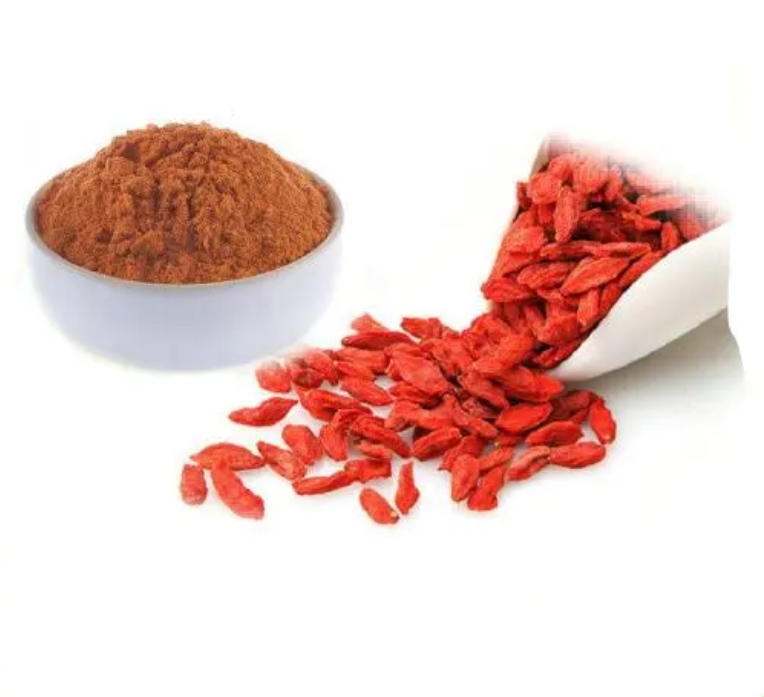 Gou Qi Red Wolfberry Goji Berry in polvere