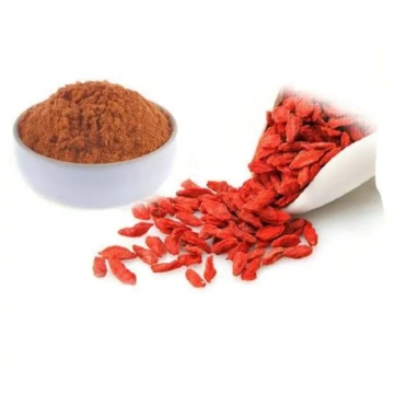 Gou Qi Red Wolfberry Goji Berry in polvere