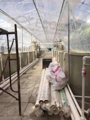 Indoor Recirculating Aquaculture System (RAS) Equipment for Grouper Fish Farming