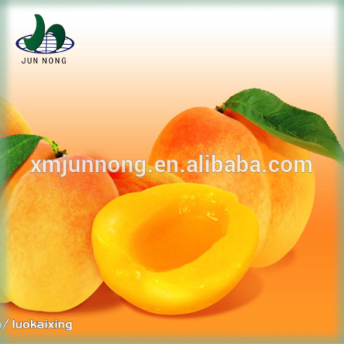 Top Quality Canned peach juice concentrate