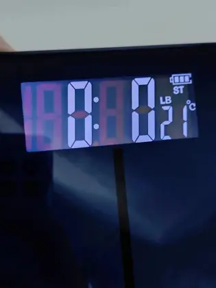 household smart body fat scale