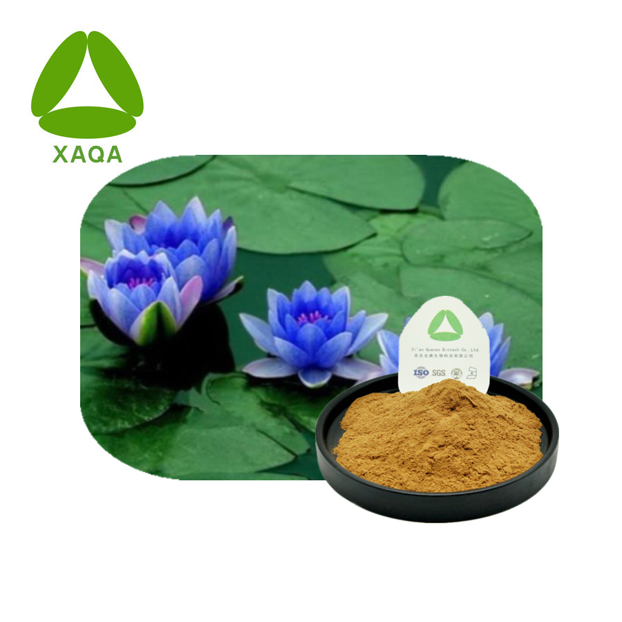 زرقاء لوتس Nymphaea caerulea استخراج مسحوق