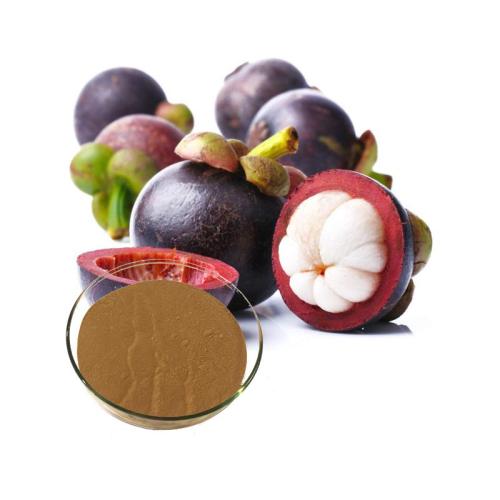 garcinia mangostana fruit extract powder
