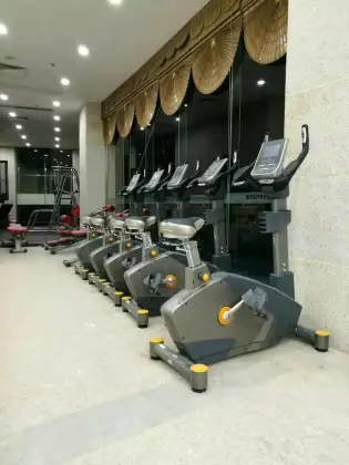 Stepper/Impulse Fitness Equipment/ Commercial Gym Machines