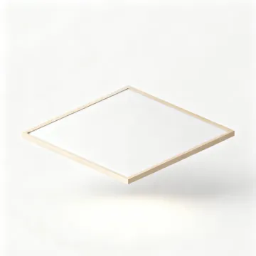 Ceiling Light with Night Light Mode