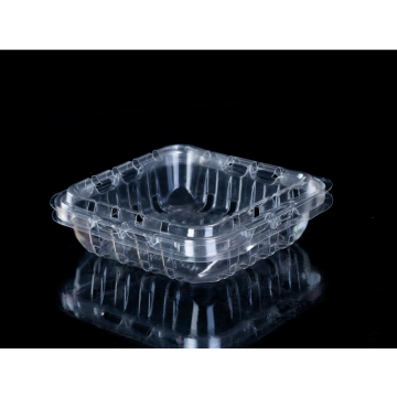 Plastic Clamshell Container Packaging for Produce