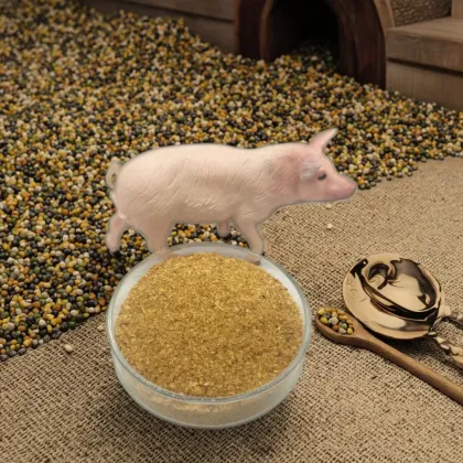 Corn Gluten Feed for Animal Feed