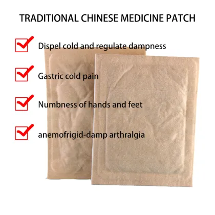 Traditional Chinese Medicine Patch