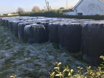 Schwarzer Silage Stretch Film mit 750mm