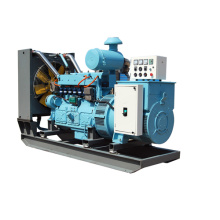 250KVA Gas Generator Sets for selling