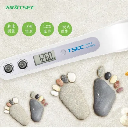 Ultrasonic Height and Weight Scale for Medical Use in BSCI Factory