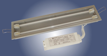 T2 light