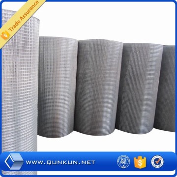 welded iron wire mesh 50x50