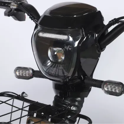 Electric Bicycle Power Lithium Electric Bicycle