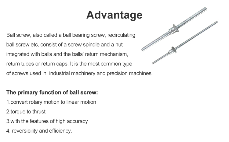 self reversing screw