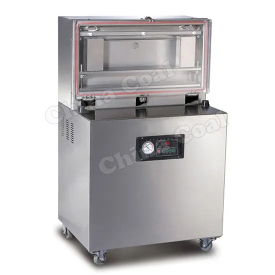 DZ-600L Best Vertical Food Vacuum Sealer v
