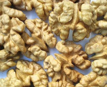Top Quality Organic Natural Walnut Shell Halves