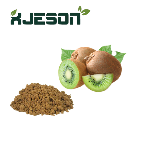 Polvo de fruta de kiwi seca seca