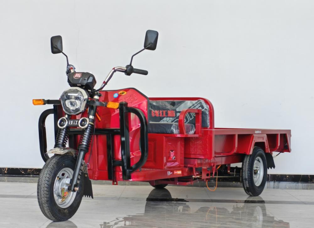 The Stylish Orchard Electric Tricycle for Sale