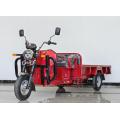 Open body type Orchard Electric Tricycle