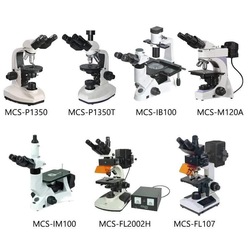 Fluorescent Microscope with CCD and Camera for Living Cell Culture and Medical Research Wn-FM107