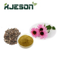 สารสกัด Echinacea ธรรมชาติบริสุทธิ์ 100%