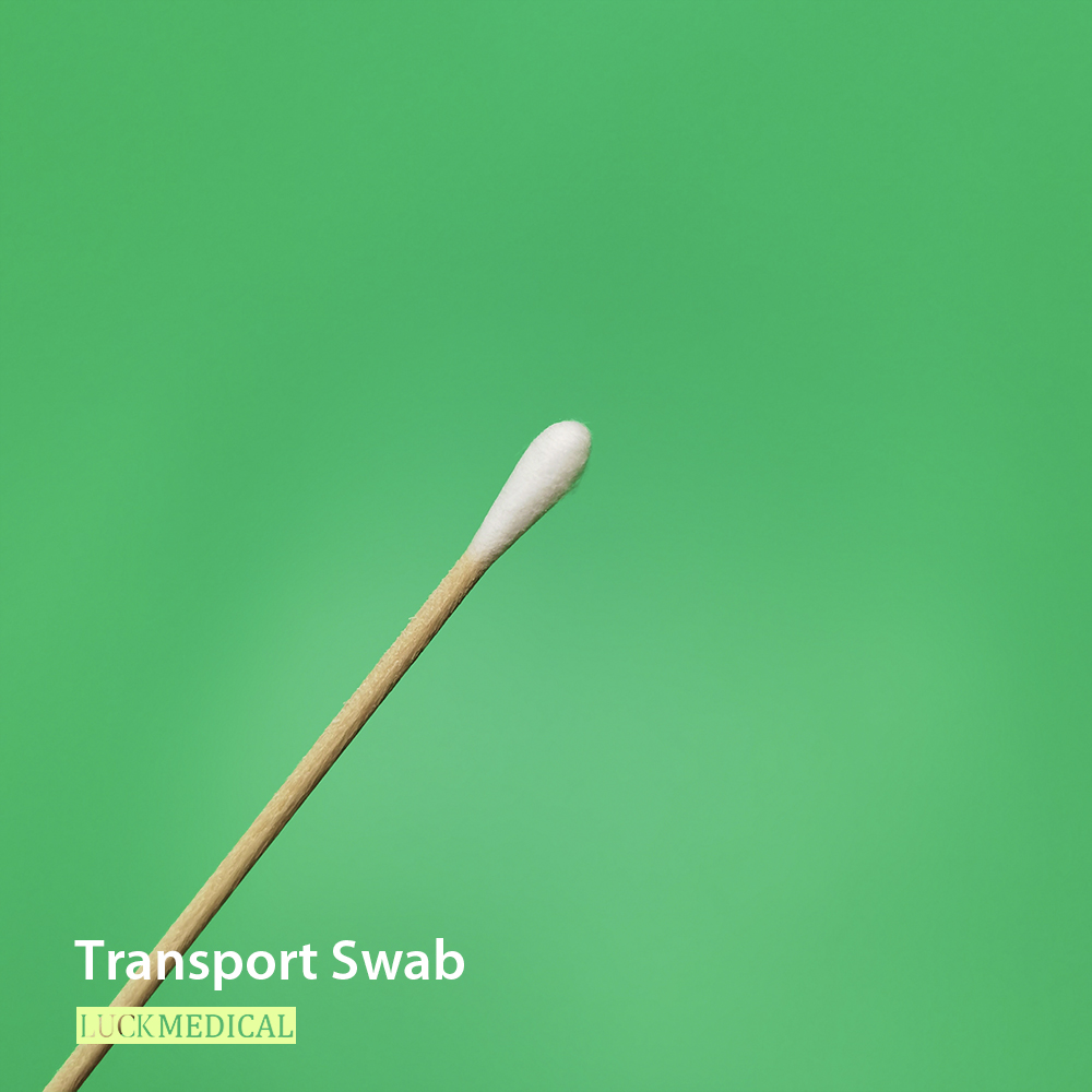 Wood Transport Swab with Cotton Tip in Tube