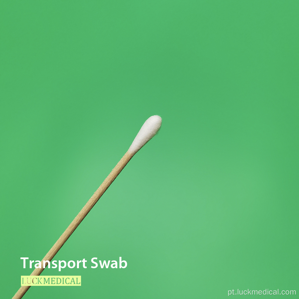 Transporte Swab Wooden Stick Cotton Tip FDA