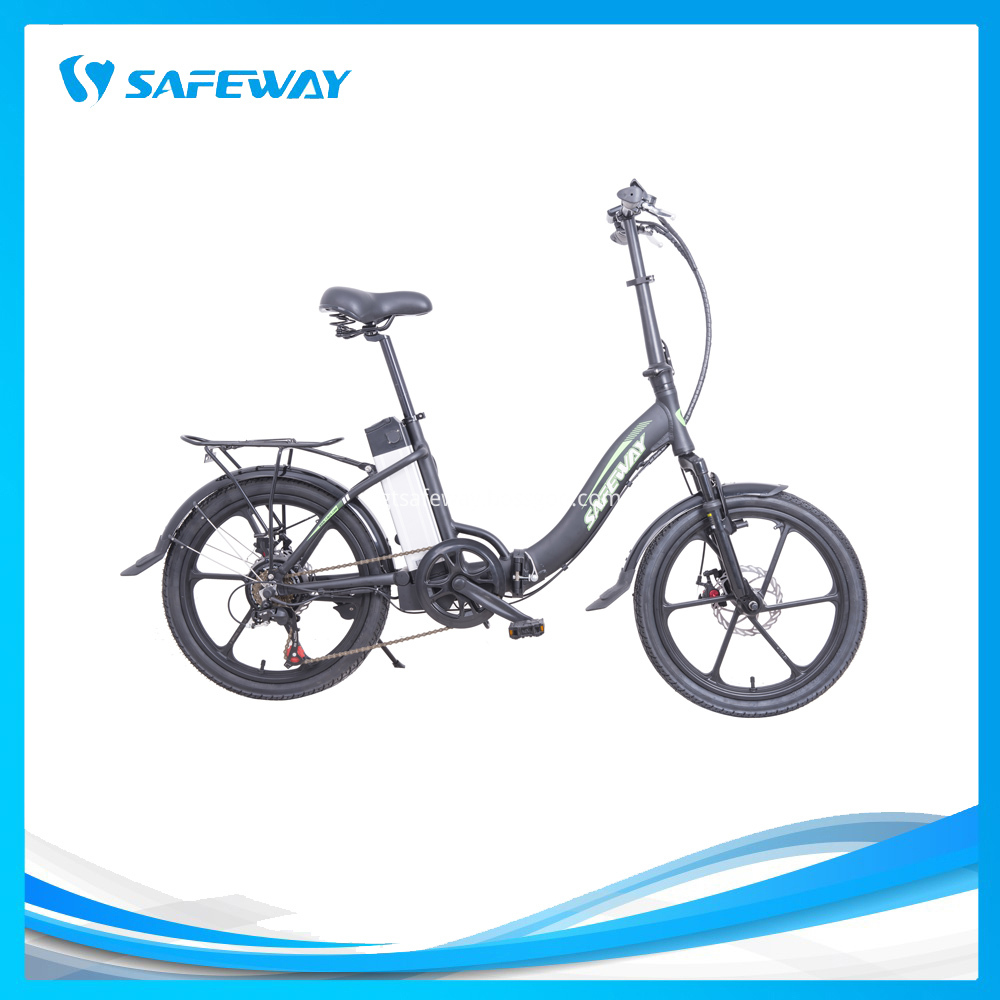Integrated wheel electric bike