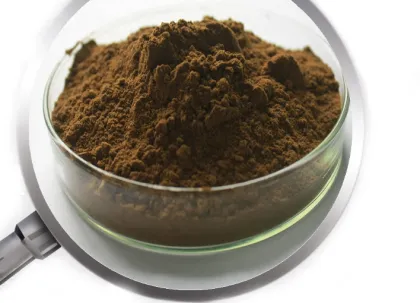 Polyphenols Yerba Mate Extract powder Yerba Mate Tea