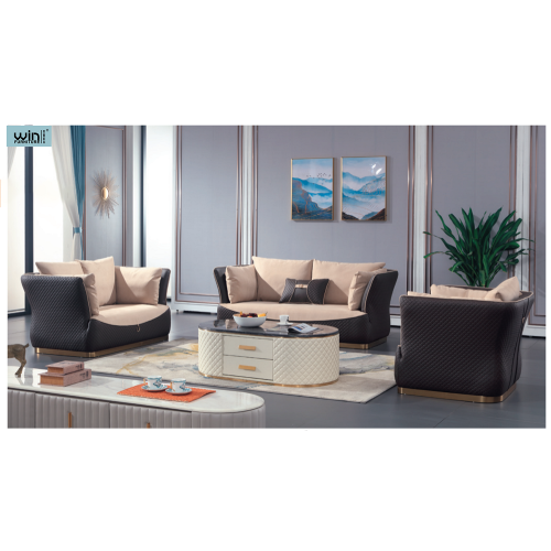 Leichtes Luxus-Stoffsofa Einfache Sofakombination