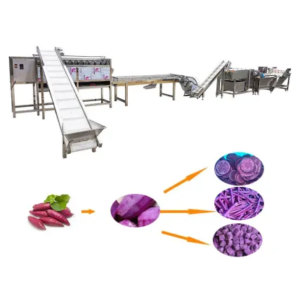 Shandong Zhucheng Vegetable Fruit Washing Drying Line